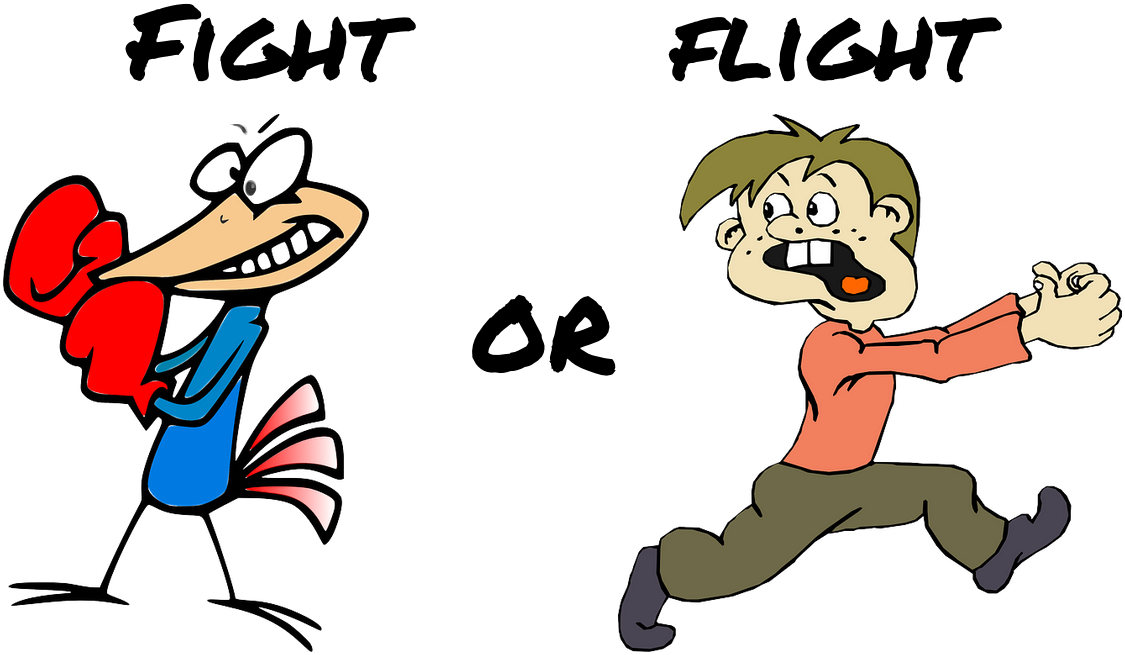 Stress - Fight or Flight